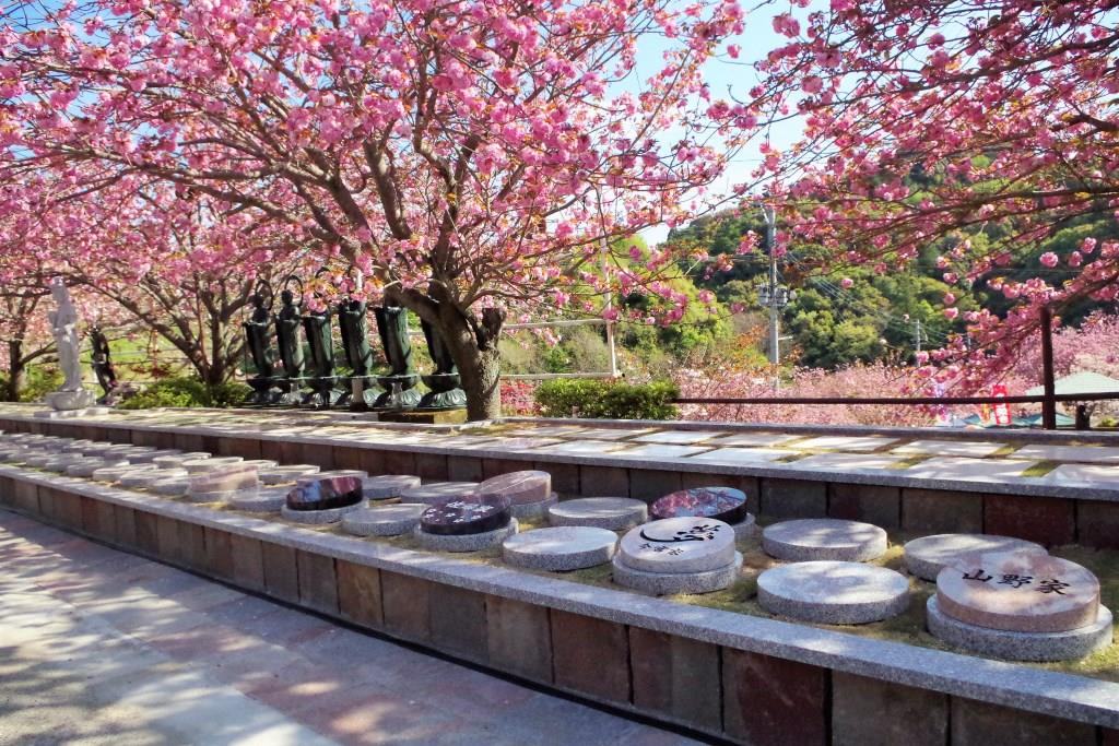 一心寺　樹木葬墓地「夢さくら」