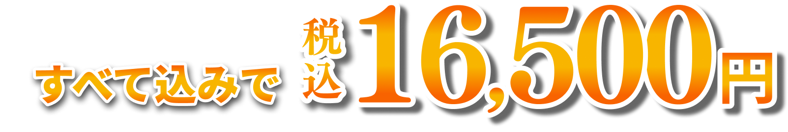 すべて込みで 税込16,500円