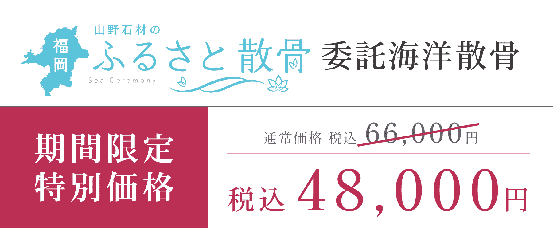 期間限定特別価格　税込48,000円