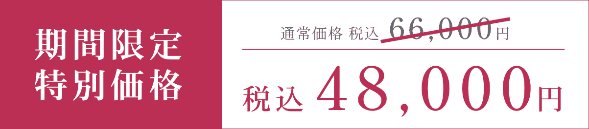 期間限定特別価格　税込48,000円