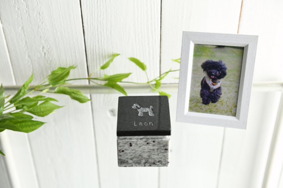 キューブ状のおしゃれなフォルムおくぼforPET